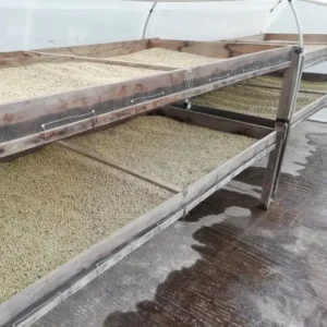 Café Tostado Peruano Monte Karlo