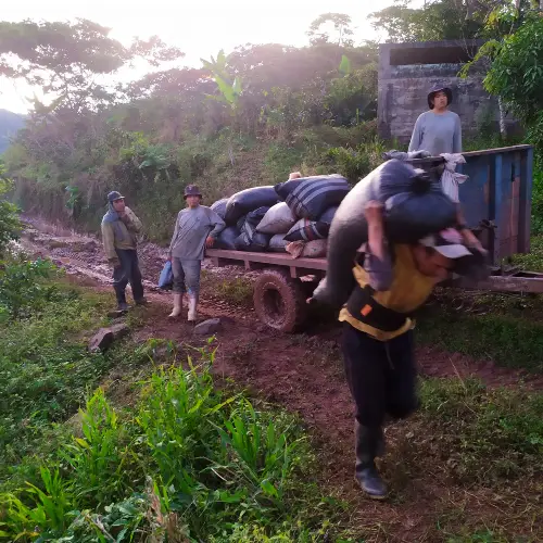 Café Tostado Peruano Monte Karlo