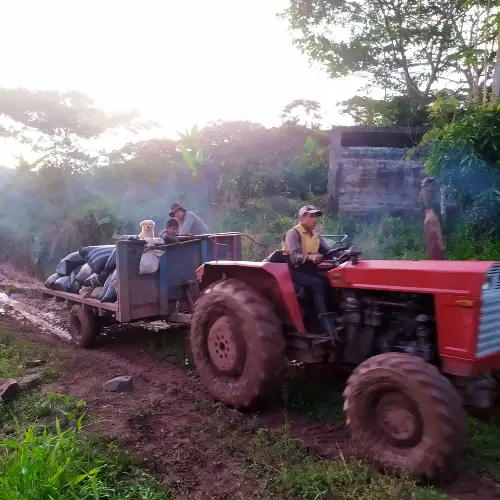 Café Tostado Peruano Monte Karlo