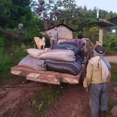 Café Tostado Peruano Monte Karlo
