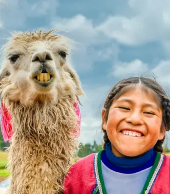Banner Optimismo Perú